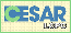 LCPC  - CESAR, FEA software